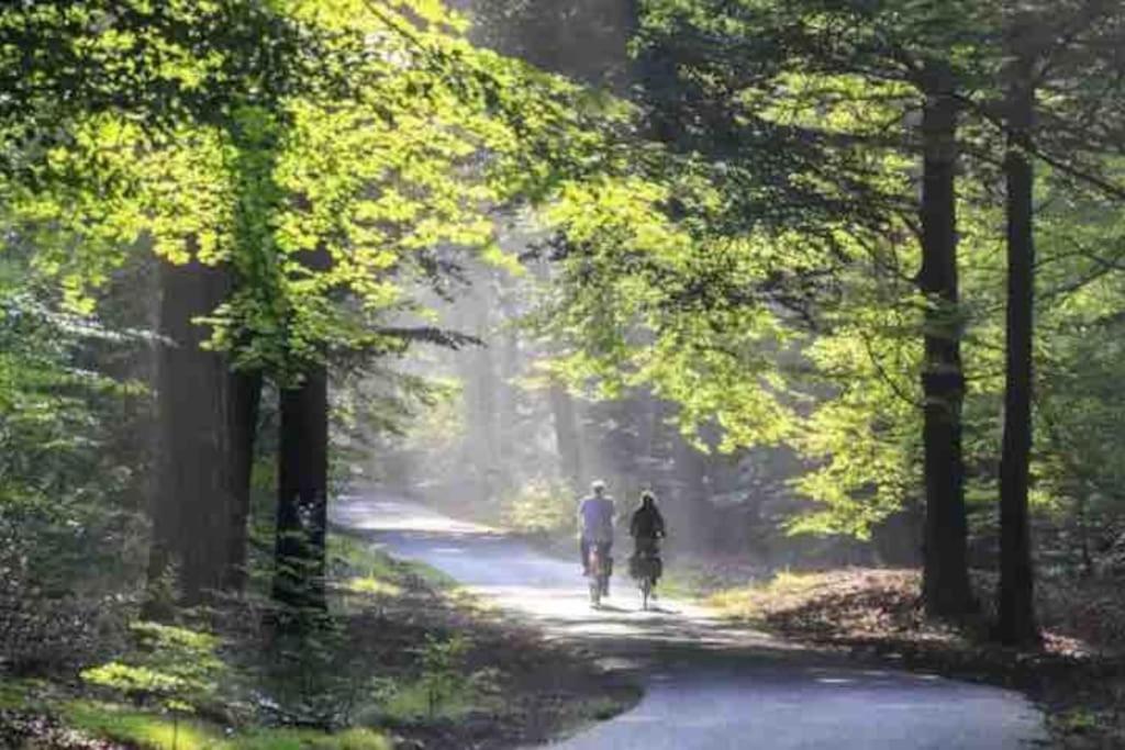 Chalet Toetje Op De Veluwe ホンデルロー エクステリア 写真